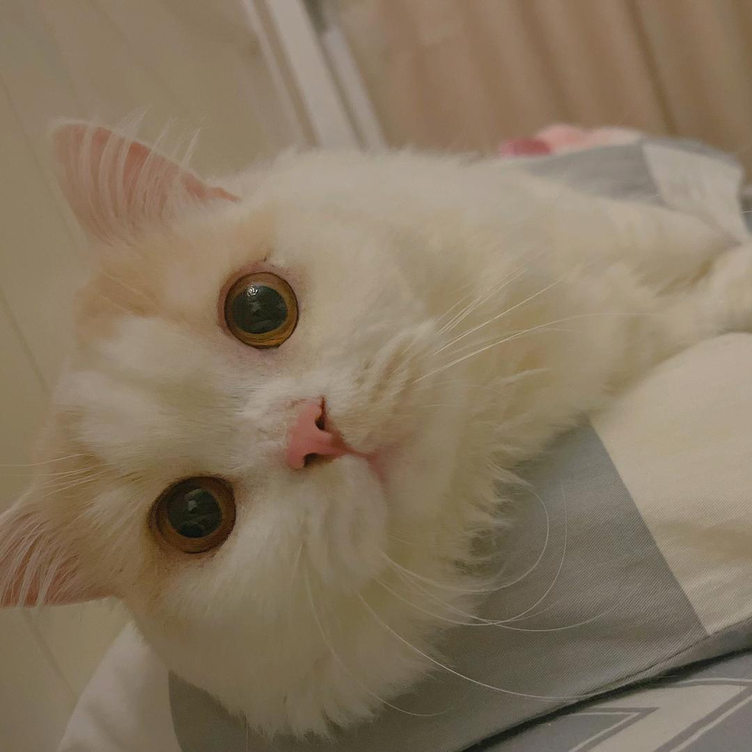 高数好难呀
