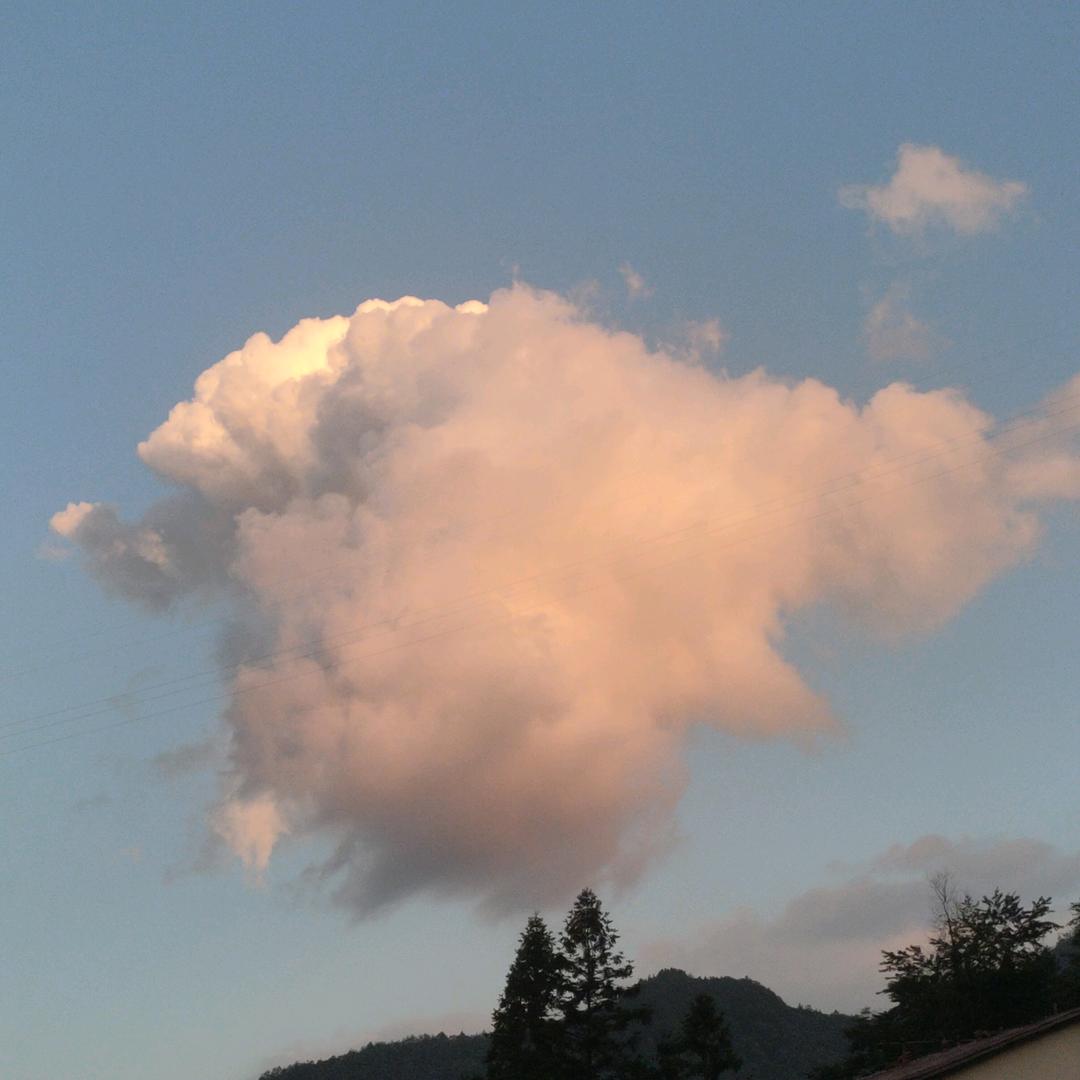 _你怎么知道是我Slowly_XY