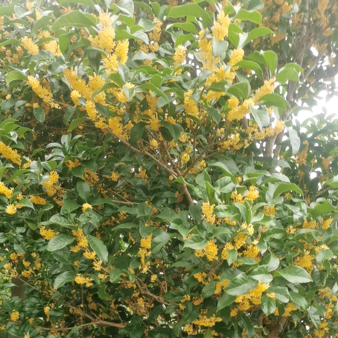 ^O^忘记过去，过好余生！༄༅ༀ༃