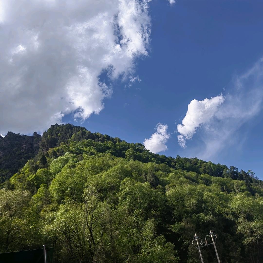 坐山客（读书版）