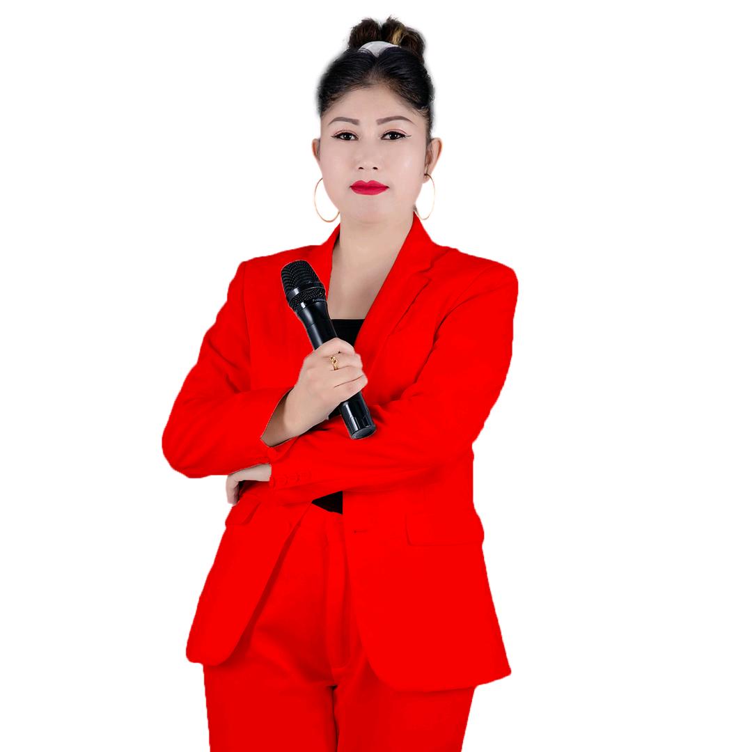 美声音歌手，主持人