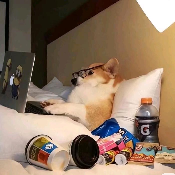 杭州可瑞儿羽绒服厂家