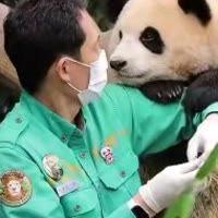福宝小公举