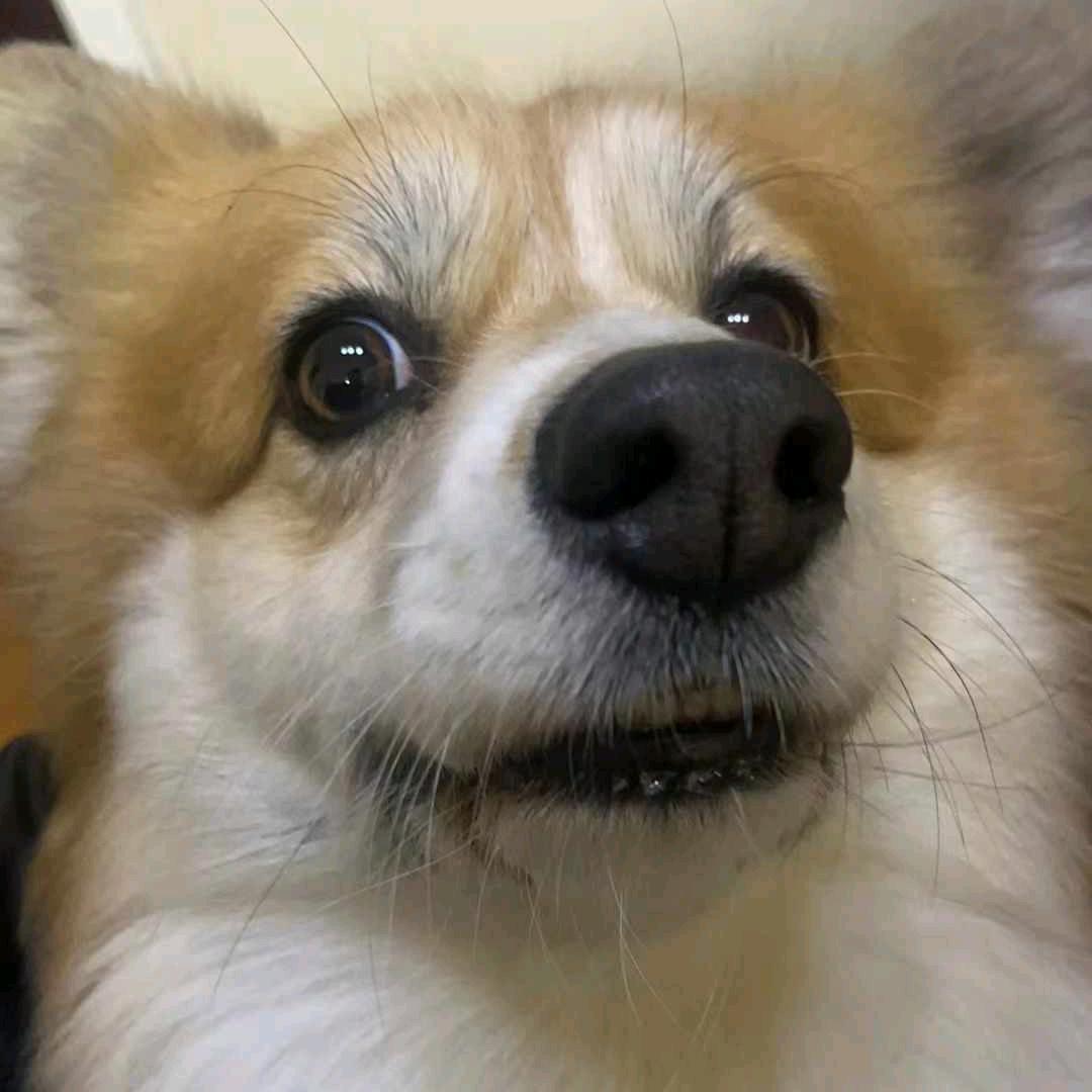 ོ❥傻ㄚ头⸙᭄ꦿ⁴⁰⁹