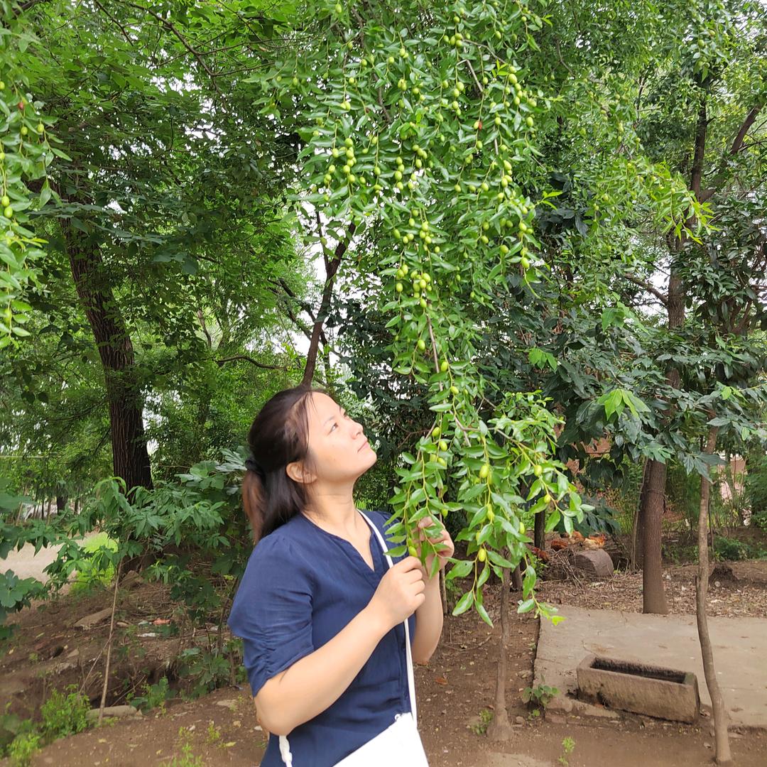 明桔