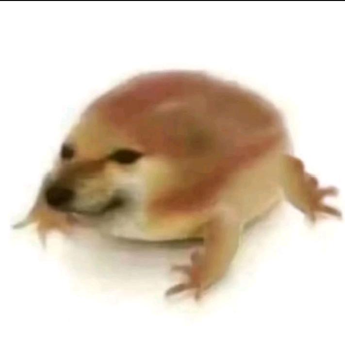 少坤