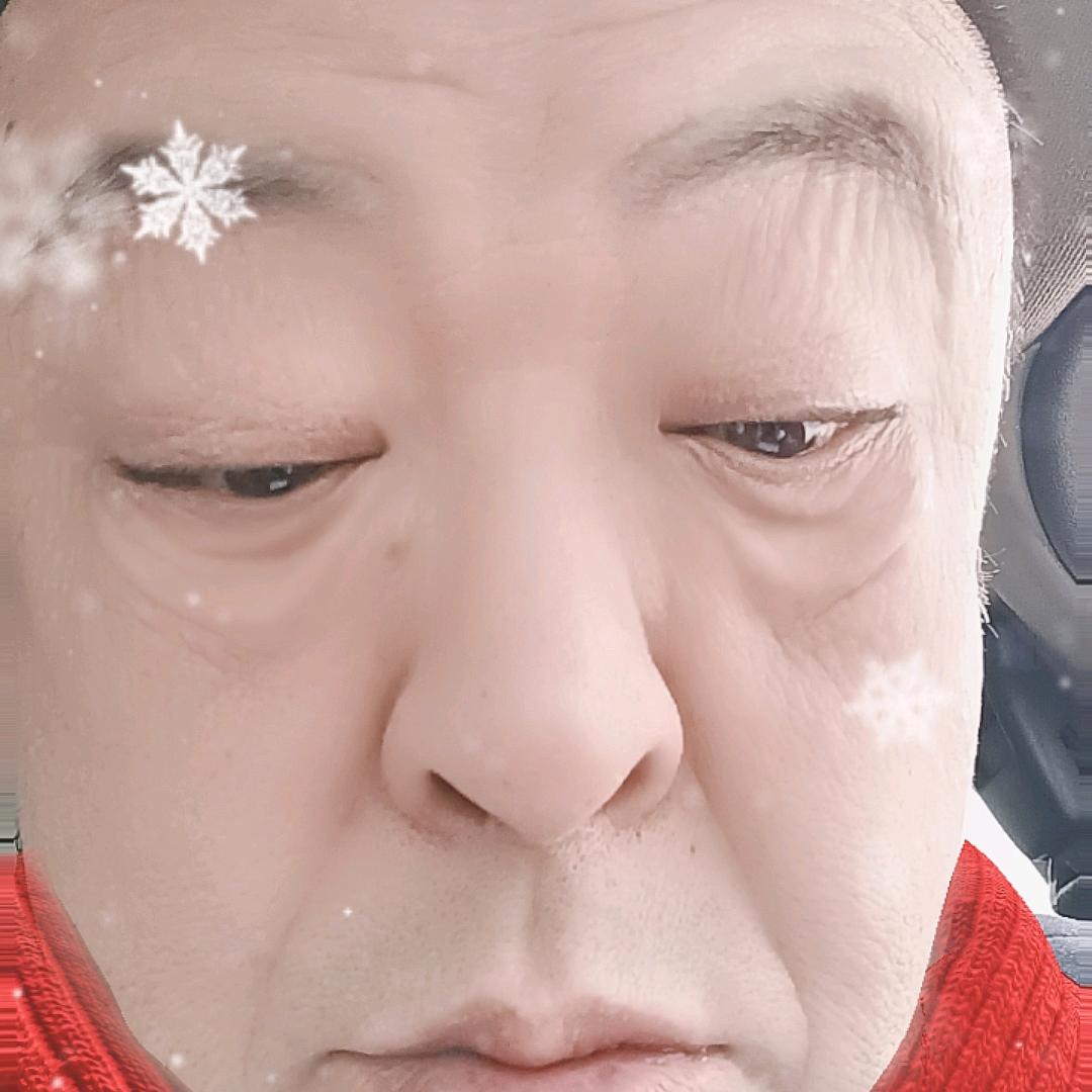 新通力李频
