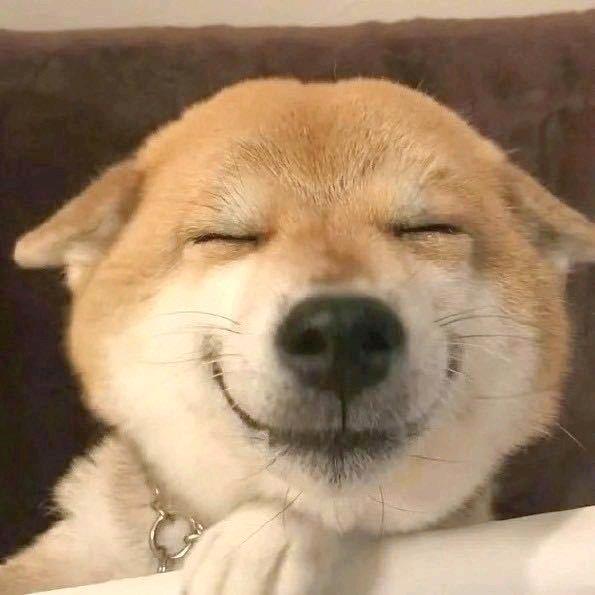 悲伤太平洋