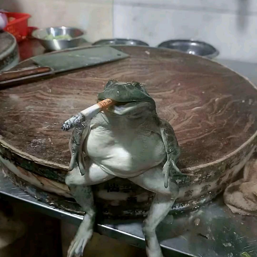 我也不道起啥名