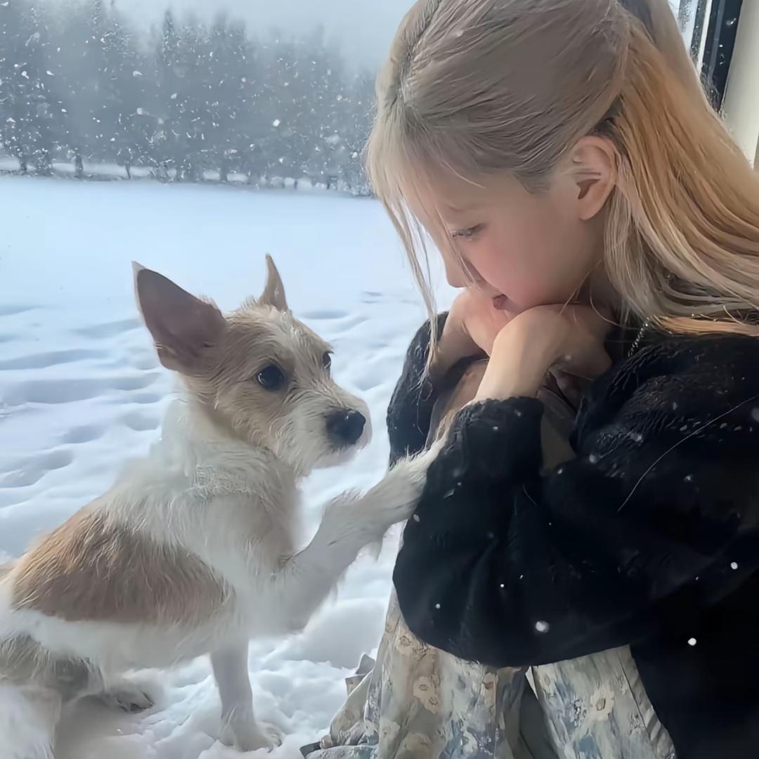 高数爱上我！！