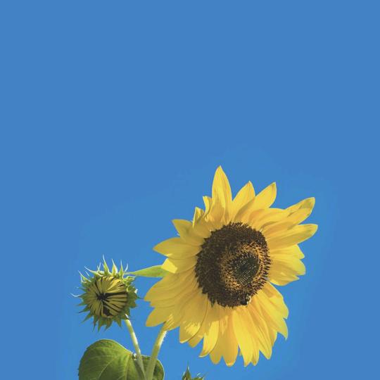 流氓兔🐇🐇🐇🐇🐇