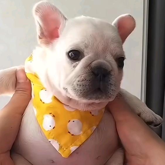 曾经沧海难为水