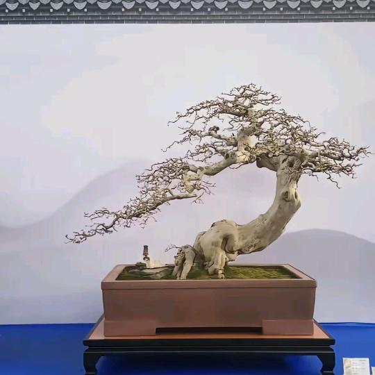 三千里