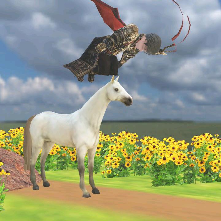 有你开直播陪你到最后