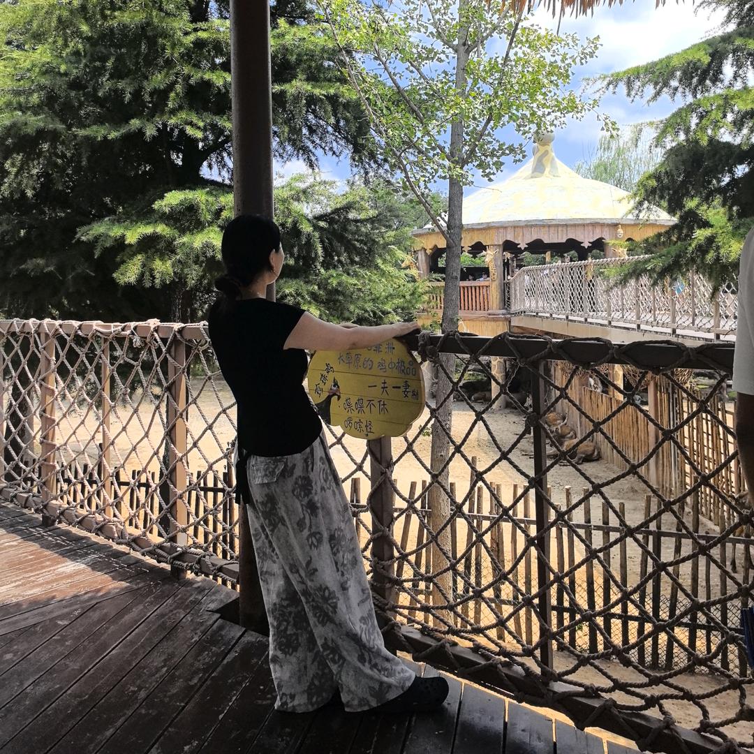 🏠美好艺境龙湖艺境~小常