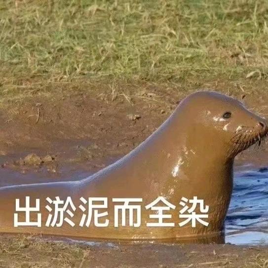 圈圈