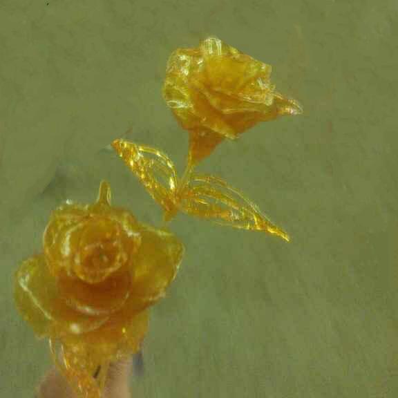 向阳而生🌻——追梦前行