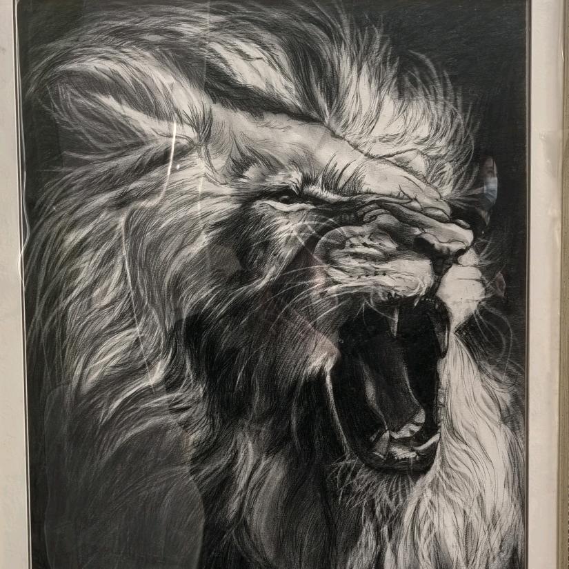 慧慧🌸((☀️⥎☀️))🌸