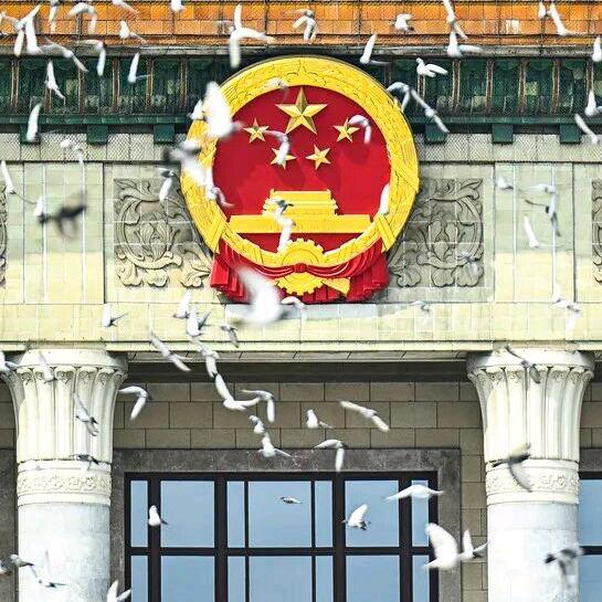 小白吖