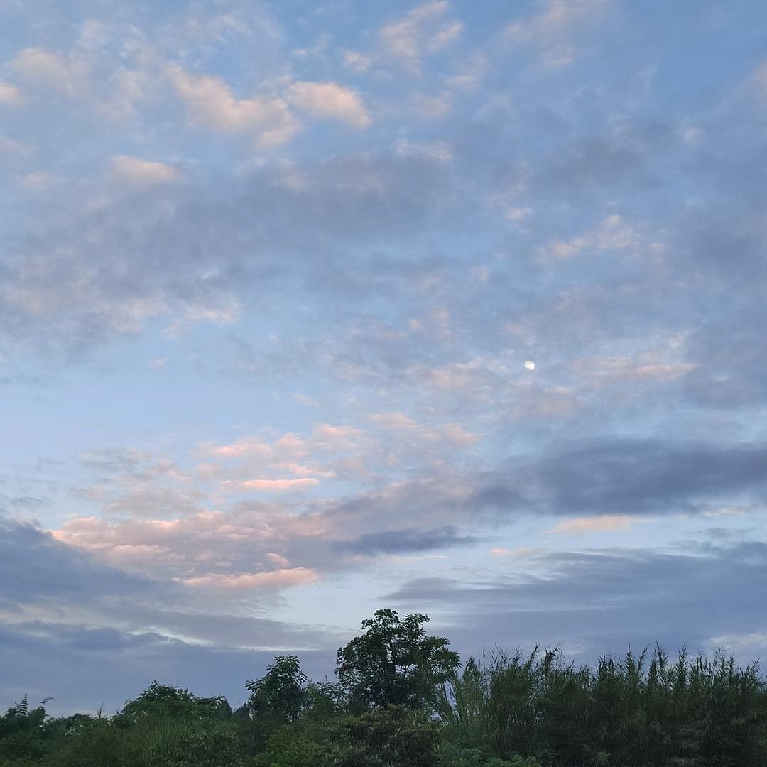 一梦回初醒