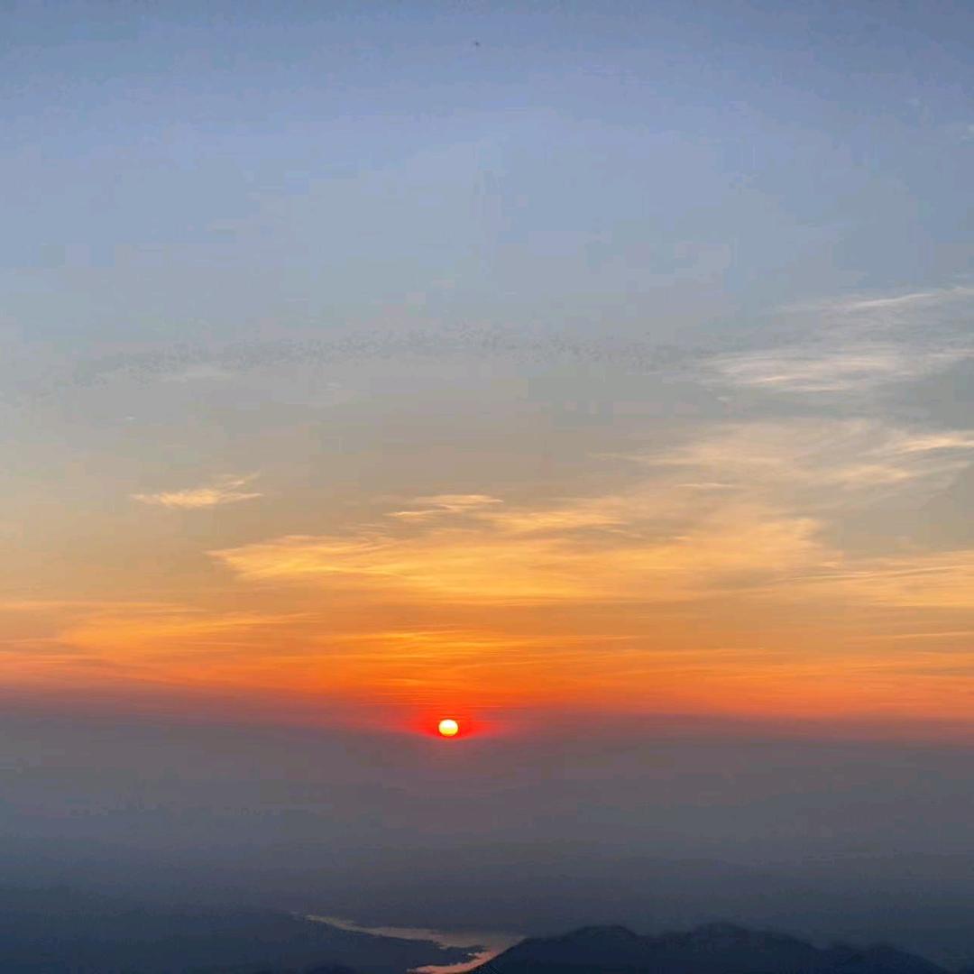 云栀听禅