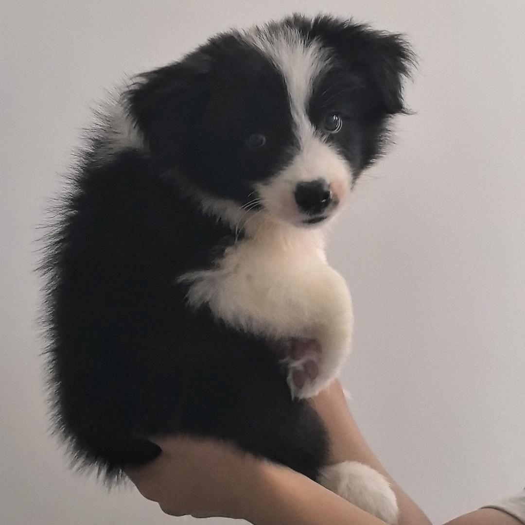 睡觉的时候不困