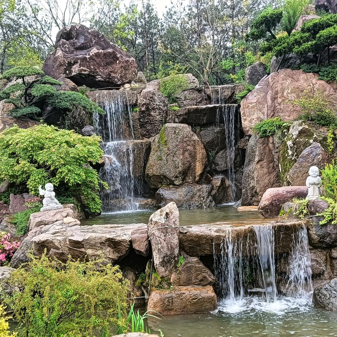 爱你不后悔