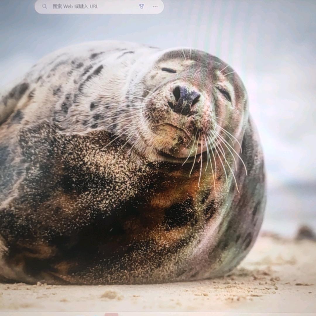 贵州好得意科技有限公司