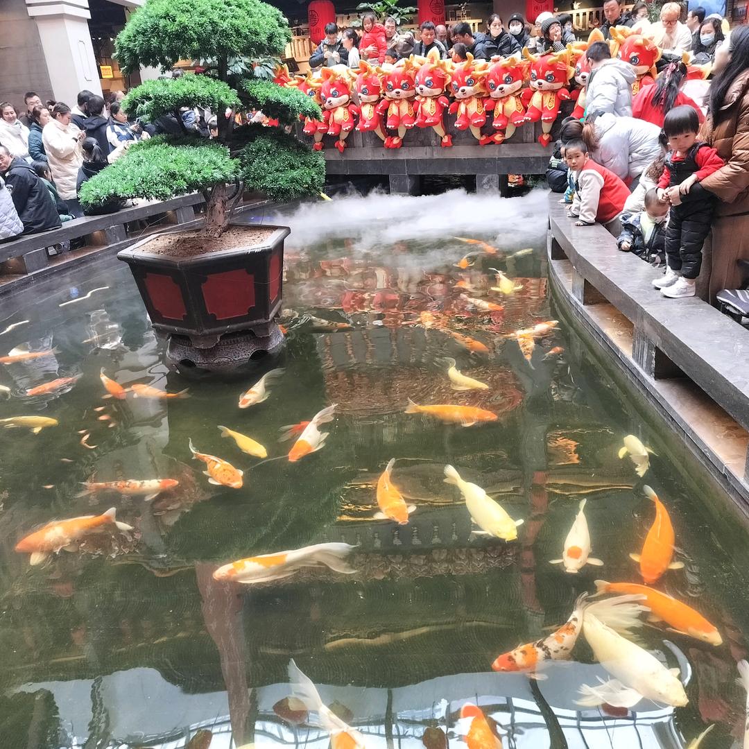 红尘有你