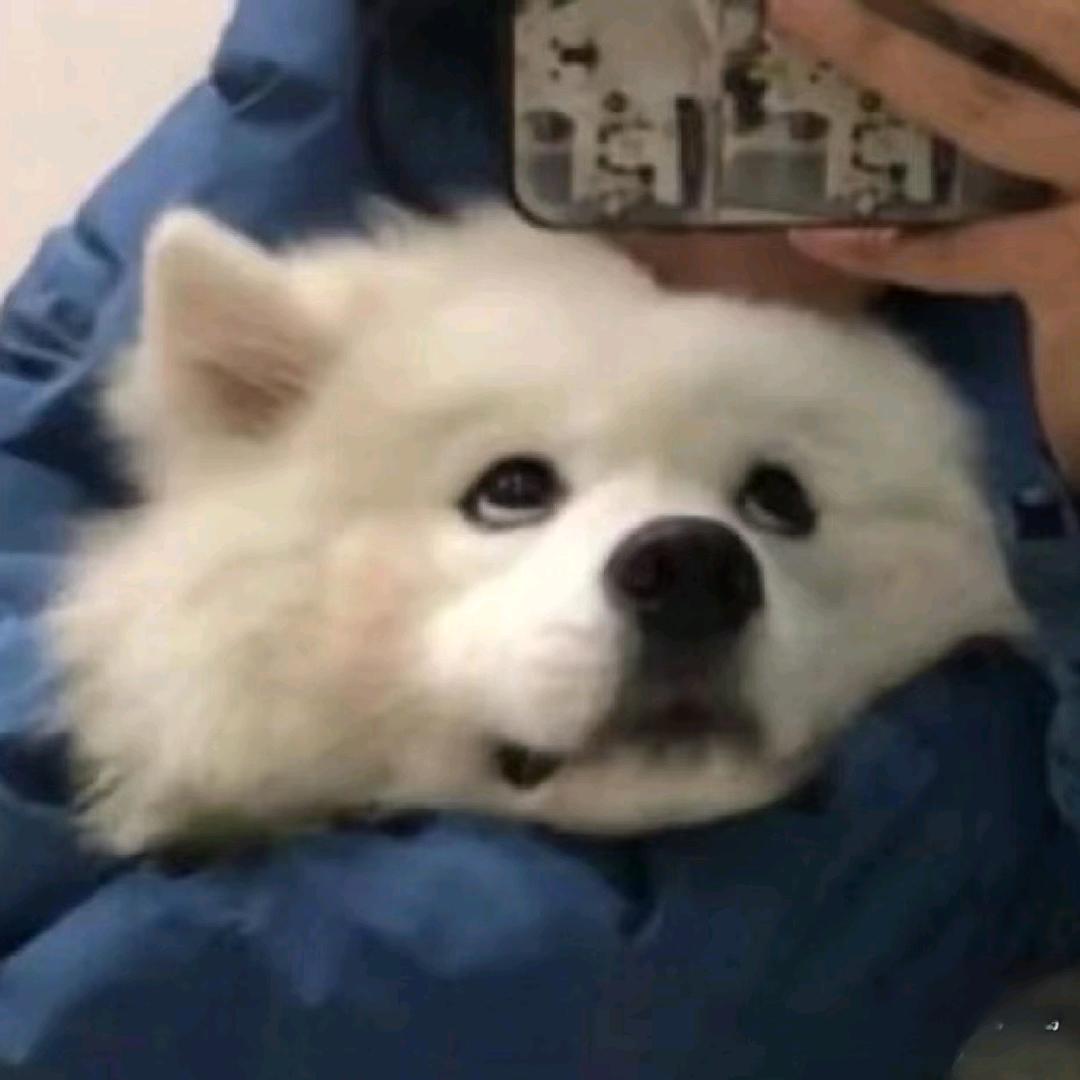 蟹黄煲
