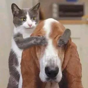 軒尼詩(*˘︶˘*).｡.:*♡