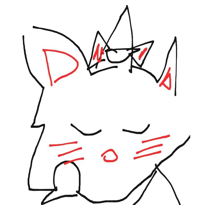 莓柚猫饼