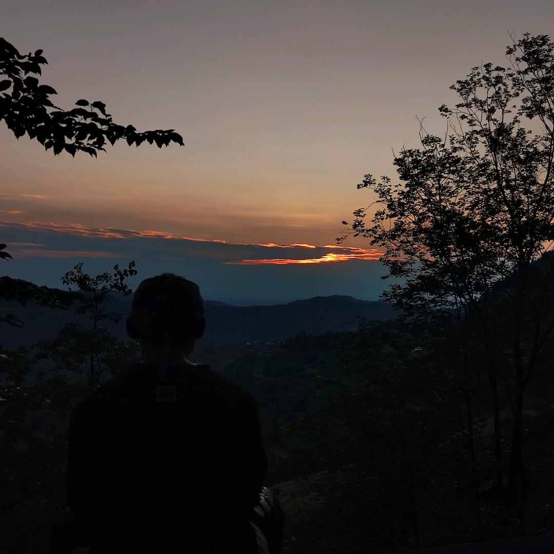 夏天里的六弦琴