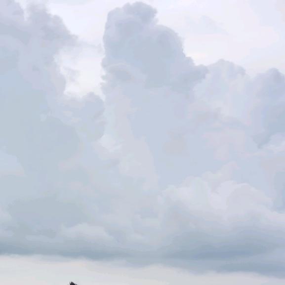加油鸭
