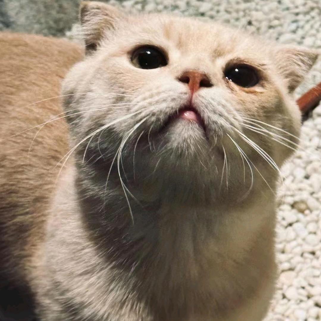 你是以纯的纯