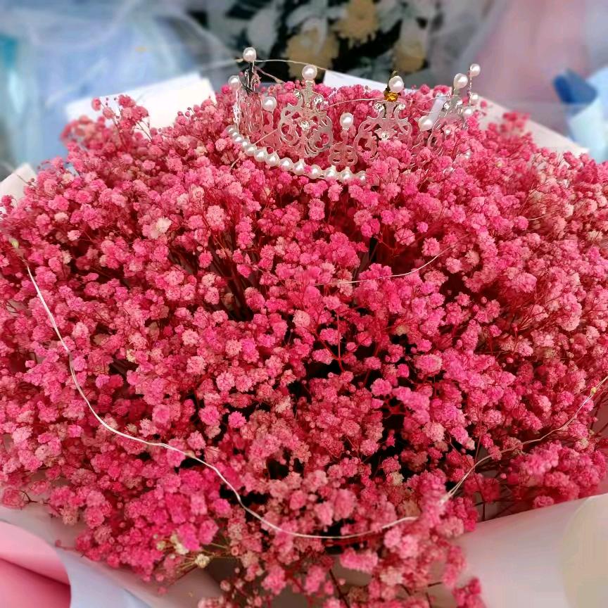 花花草草