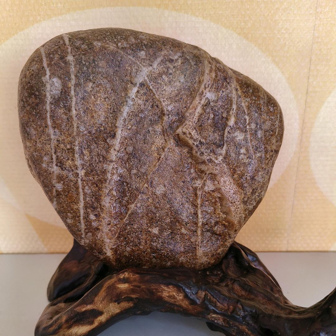 ✧*｡٩(ˊᗜˋ*)و✧*笑看人生