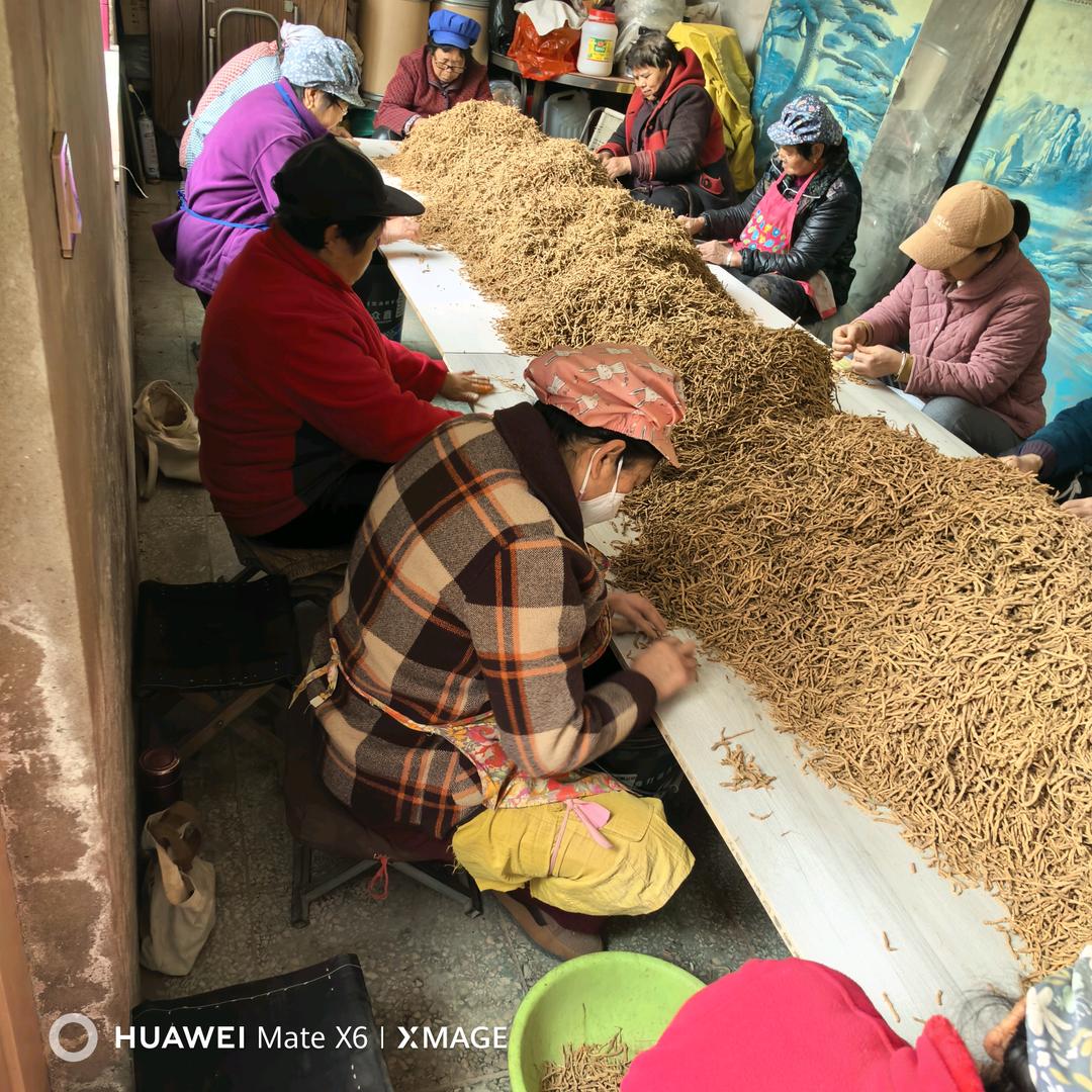 新绛县华昌种植家庭农场