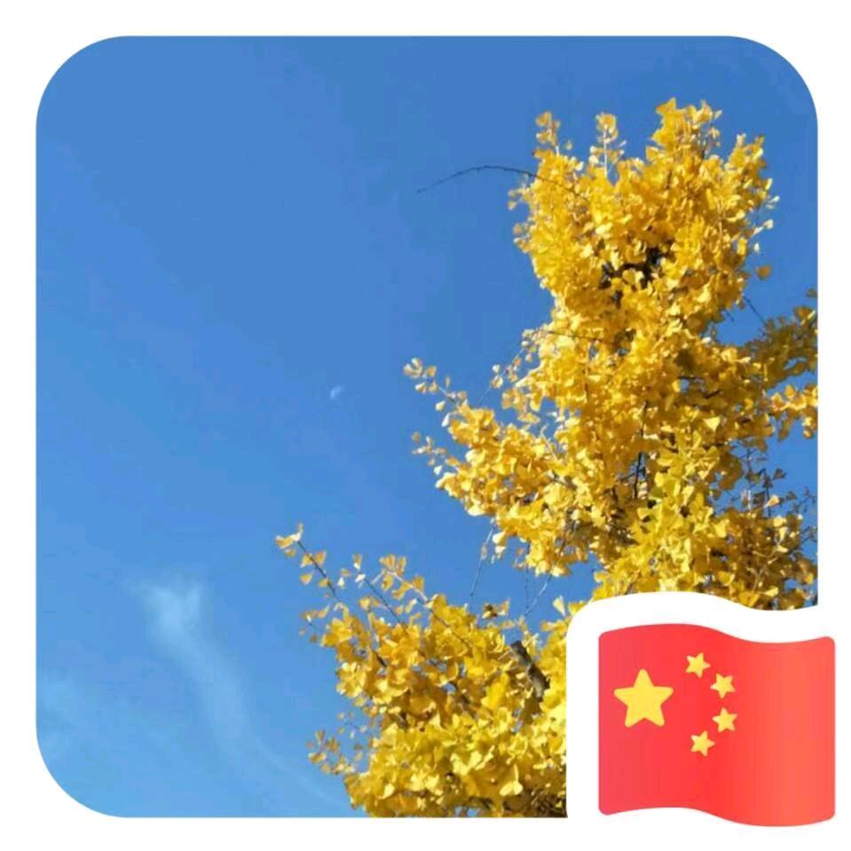 傻子