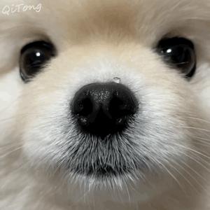 东方