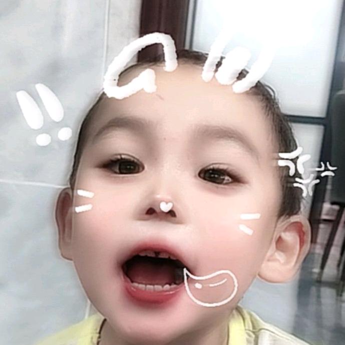 小狐狸