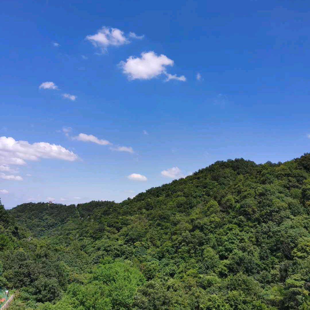 四海为家