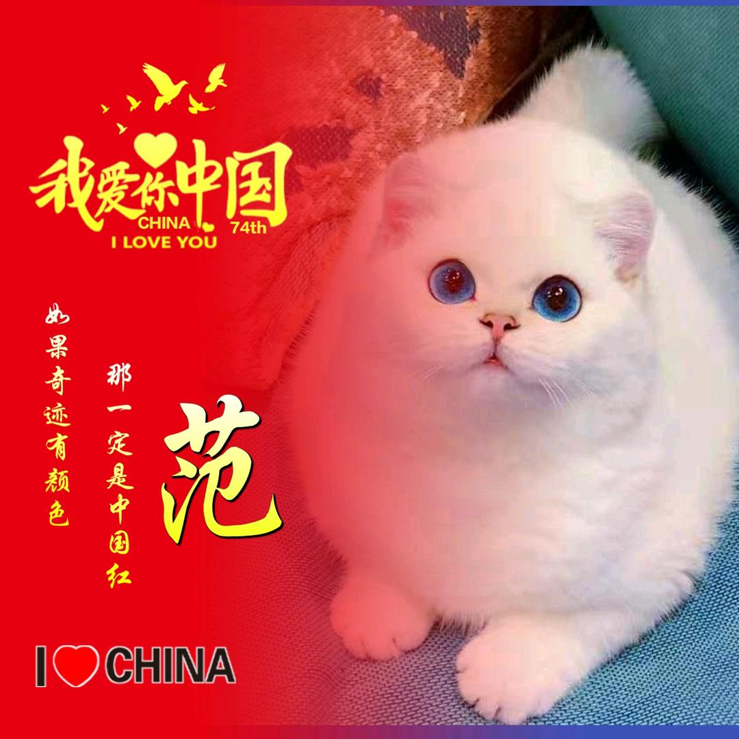 ℒℴѵℯ小赵不吃香菜-ღ᭄ꦿ࿐