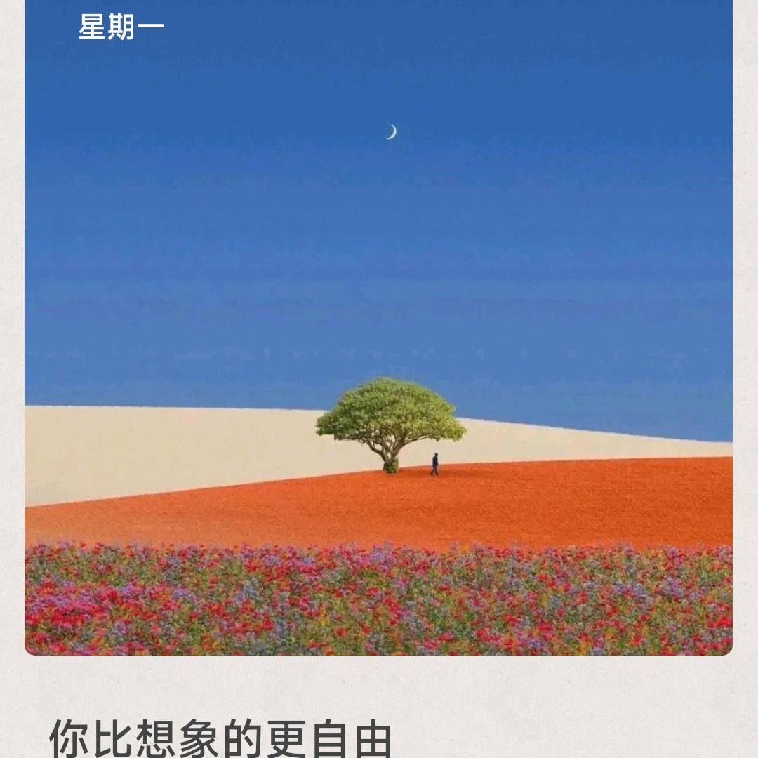 刘佳美好