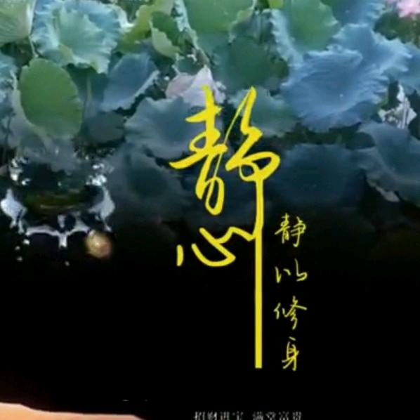 💞ꦿ໊静 ᭄心🌹 ᭄ꦿᩚ٭