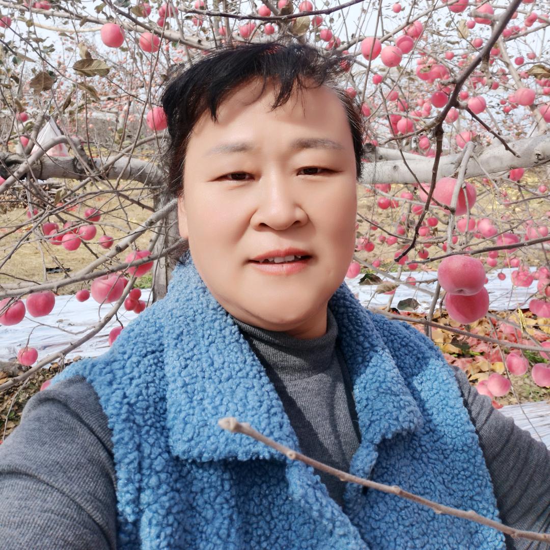 苹果姐（停播中）