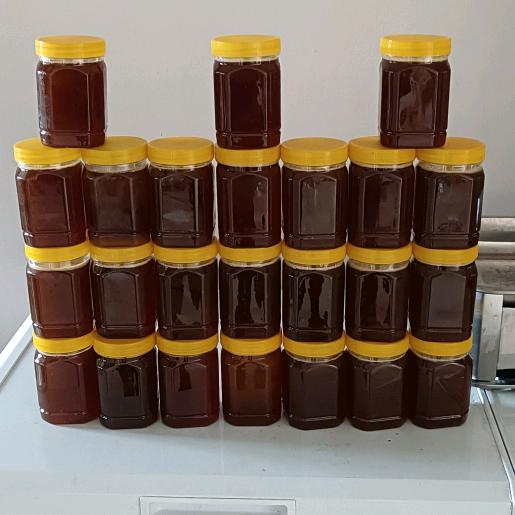 周未：真蜜蜂。