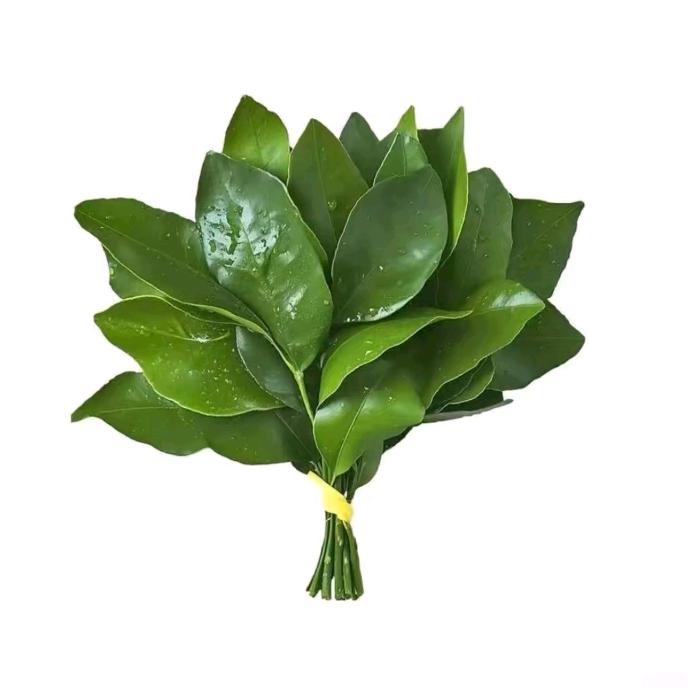 小汤圆