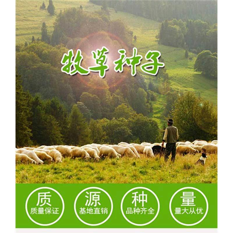 景霄种植优品