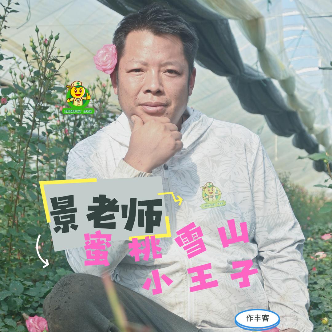 作丰客-雪山小王子小景